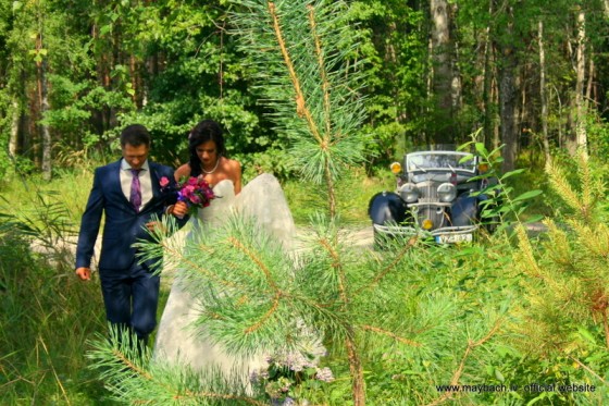 MAYBACH AVE MARIA . WEDDING IN THE NATIONAL PARK '' KEMERI'' (LATVIA)